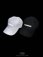 FLASHBACKǿReflector Logo Panel Cap